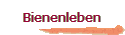 Bienenleben