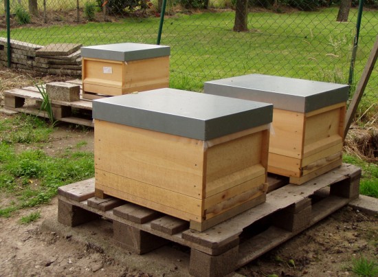 bienen toppka