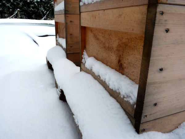 toppka winter 2009a02
