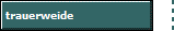 trauerweide